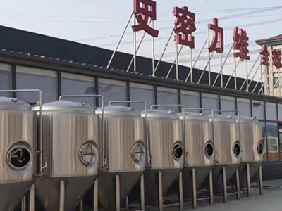 新青精酿啤酒设备厂—如何判断精酿啤酒设备的密封件需要更换？